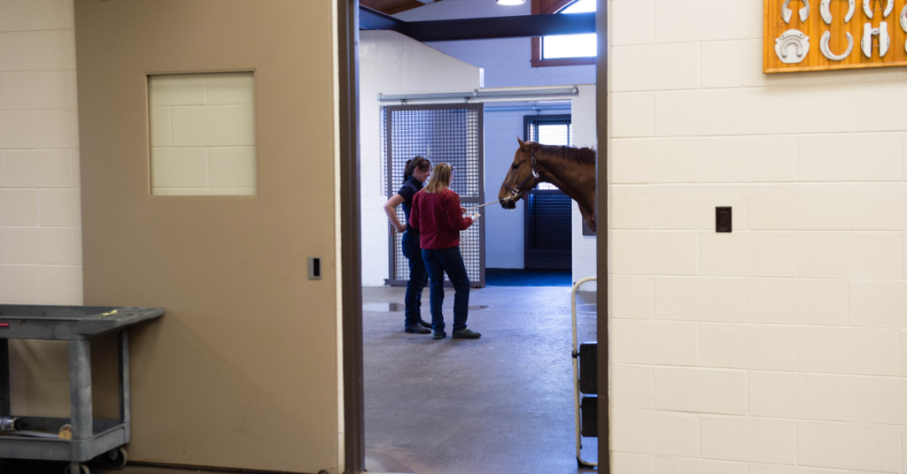Equine hospital