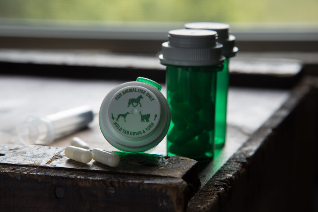 Animal pharmacy drugs.