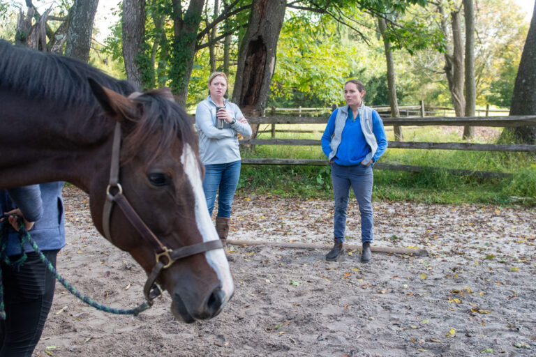 unhappy-horse-head-vet-trainer-PRC-20-1006-AD5a-335-Amy-Dragoo-1200