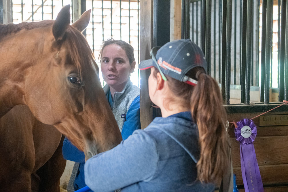 Equine veterinarian having a discussion with a client.